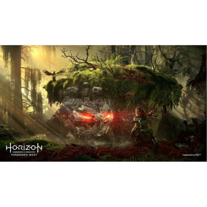 Ігри PlayStation 5: Horizon Forbidden West від Sony Interactive Entertainment у магазині GameBuy, номер фото: 1