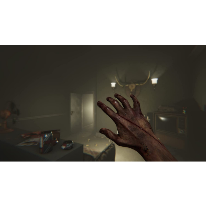 Игры PlayStation 4: MADiSON: Possessed Edition от Perp Games в магазине GameBuy, номер фото: 3