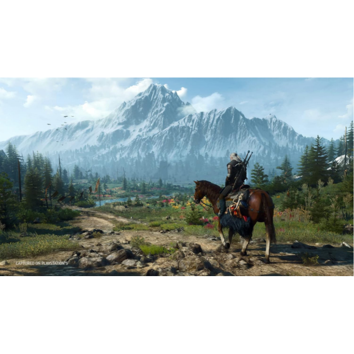 Игры PlayStation 5: The Witcher 3: The Wild Hunt - 10th Anniversary Complete Steelbook Edition от CD Projekt в магазине GameBuy, номер фото: 4