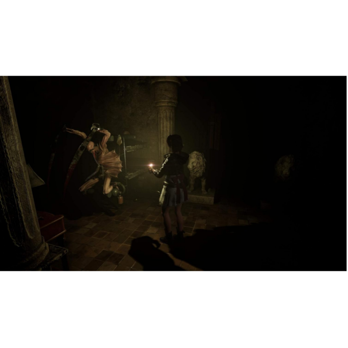 Игры PlayStation 5: Tormented Souls от Pqube в магазине GameBuy, номер фото: 3