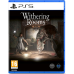 Игры PlayStation 5: Withering Rooms от Perp Games в магазине GameBuy